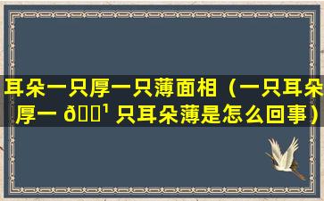 耳朵一只厚一只薄面相（一只耳朵厚一 🌹 只耳朵薄是怎么回事）